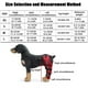 thumbnail image 5 of Rodillera ajustable para perro, doble soporte para patas traseras con bisagras de metal y cinturones de seguridad reflectantes (rojo), 5 of 6