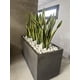 thumbnail image 3 of Planta Artificial Lengua de Suegra Sansevieria 75 cm/18 hjs, 3 of 7