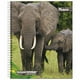 thumbnail image 4 of Cuaderno Universitario Fauna 100 Hojas  / Producto surtido, 1 Un, 4 of 9