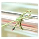 thumbnail image 4 of Cuerda Soga Cordel Amarra Multipropósito 4mm X 15 Metros, 4 of 10