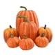 thumbnail image 1 of 7x Calabazas Artificiales A Granel Cosecha Falsa Para Centro De Mesa De Boda De Oto?o Naranja, 1 of 5
