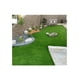 thumbnail image 1 of PISO R PASTO ORNAMENTAL JARDÍN 25MMX2MT ANCHO (R20MT), 1 of 3