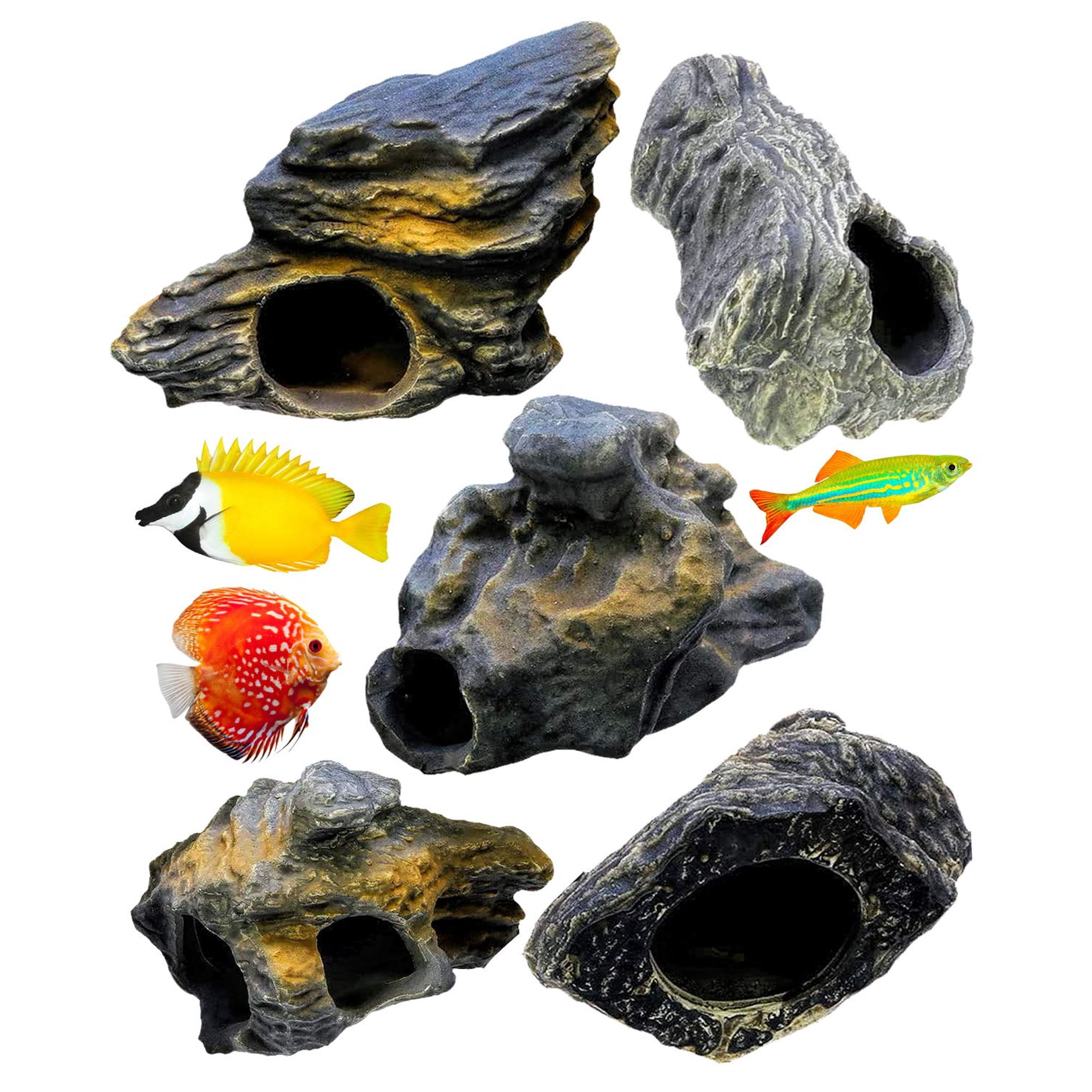 Set de 5 Piedras de Cíclido Dr. Miracle's para Acuario