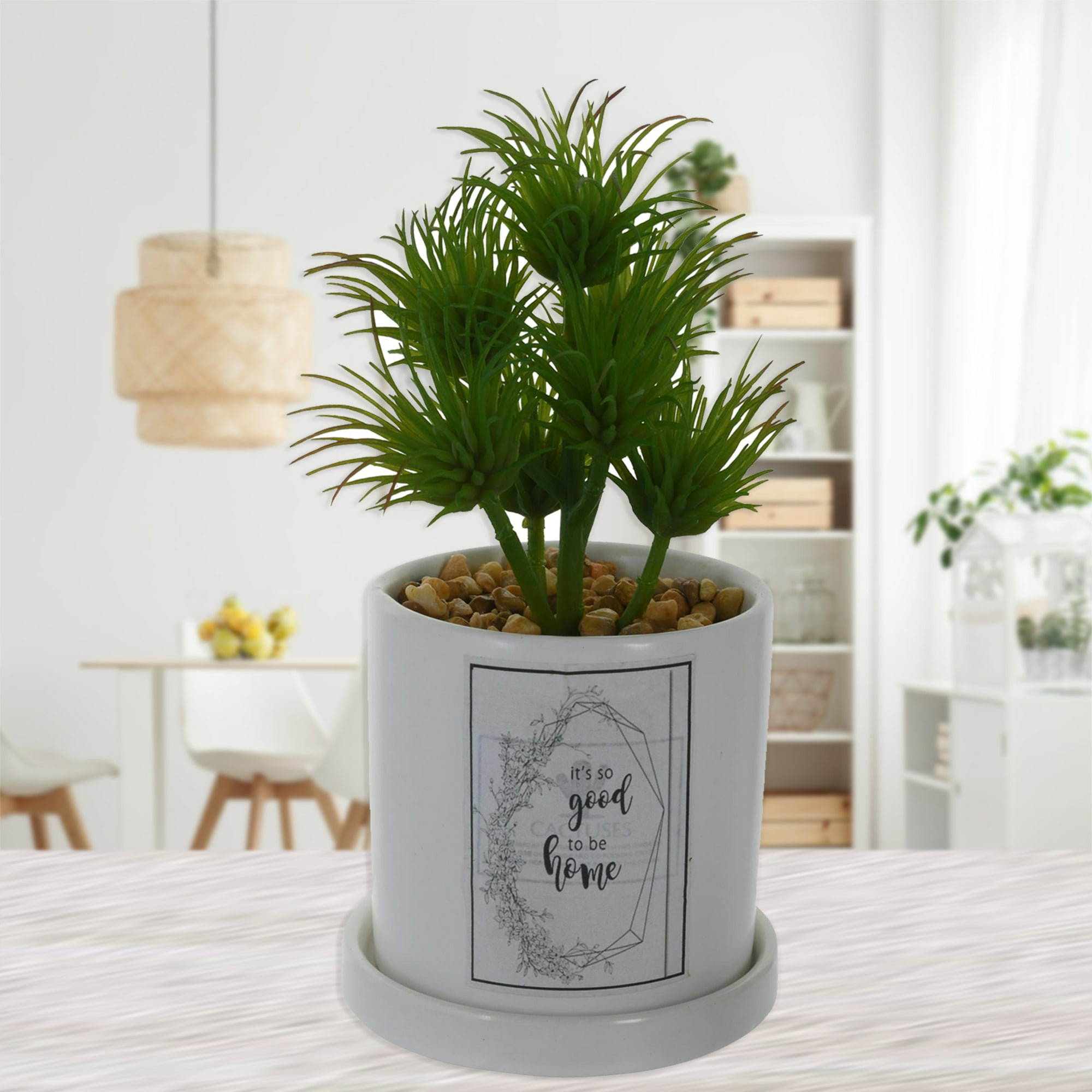 Mallorca - Planta Decorativa Good To Be Home Maceta Blanca