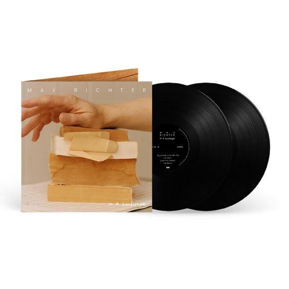 LP Decca In A Landscape (2 LP)