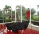 thumbnail image 3 of Color Additive Party Pool, paquete de 3 unidades, rojo rock, 240 ml, 3 of 5