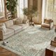 thumbnail image 1 of Alfombra Baksham 152 cm x 229 cm Lavable de estilo vintage oriental, 1 of 7