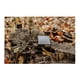 thumbnail image 4 of Paquete de baterías recargables de iones de litio para cámaras Browning Trail, 4 of 5