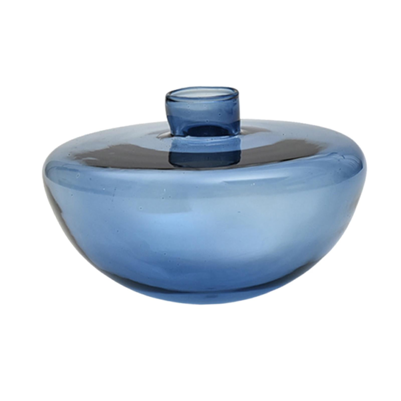 Magideal - Jarrón De Cristal Para Flores, Contenedor Para Plantas, Decoración Del Hogar, Arreglo Floral, Jarrón Hidropónico Para Cafetería, Armario, Estantería, Azul