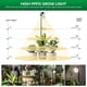 thumbnail image 3 of Luz De Cultivo 40w De Espectro Completo Con Trípode Ajustable, 3 of 8