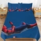 thumbnail image 2 of Funny Spider-Man 3 Piece Sets Full/Queen Size - Reversible Microfiber Quilts with 2 Shams Soft Lightweight Bedspread Coverlet Comforter for All Season Bed Sheets, 2 of 5