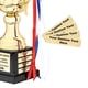 thumbnail image 2 of Copa Trofeo Alpha Awards de metal dorado de 40 cm, perpetua, 2 of 7