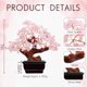 thumbnail image 3 of Crystal Money Tree Parma77 Feng Shui, cuarzo rosa, 18 cm, 3 of 7