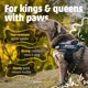 thumbnail image 5 of Arnés para perro Doggykingdom personalizado M rojo rosa, 5 of 9