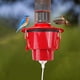 thumbnail image 1 of Calentador de comedero para colibríes para exteriores, comederos para colibríes con calefacción, calentador de comedero para pájaros que se fija a la base del comedero para alimentar a los colibríes e, 1 of 7