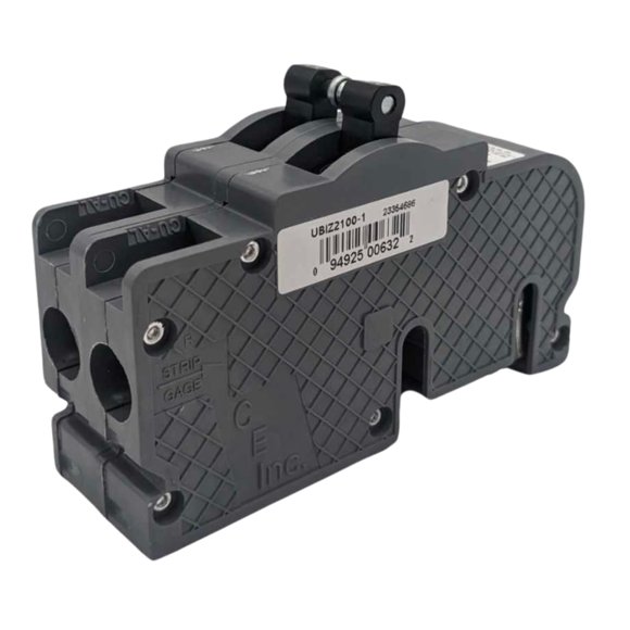 Disyuntor Ubiz2100 1 100a 2p