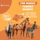 thumbnail image 3 of Premios para caballos Elite Treats de batata natural 454 g, 3 of 5