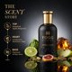 thumbnail image 4 of Eau de Parfum Fogg XPRESSIO 100 ml, 4 of 9