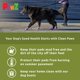 thumbnail image 3 of Botas para Perro Protex PawZ X-Large Impermeables de Goma Paquete de 12, 3 of 7