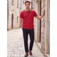 thumbnail image 2 of INSPIRE CHIC Camisa Polo de Punto para Hombre de Manga Corta con Cuello de Cuadros para Golf S Rojo, 2 of 5