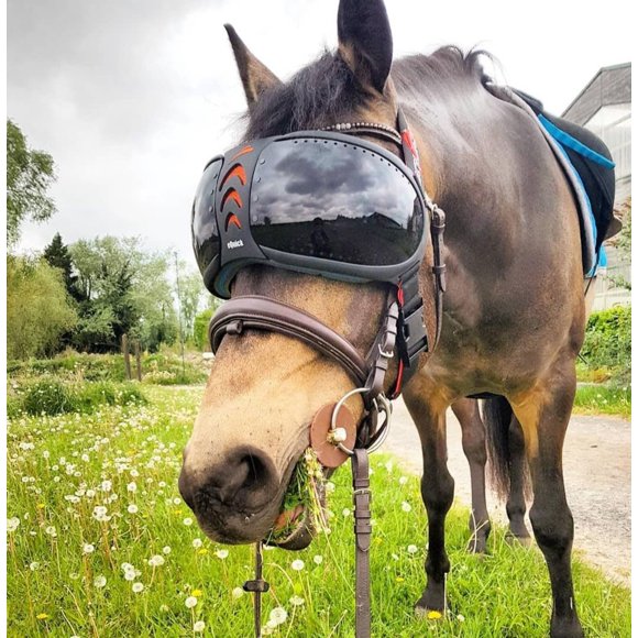 Gafas de equitación eVysor UV con lentes oscuros – solo para montar