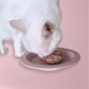 thumbnail image 3 of Plato para Gatos EcoLeo Amigable con Bigotes de Silicona Rosa, 3 of 8