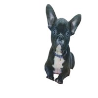 Genérico - Cortina Para Baño Con Forro De Ducha 180 Cm L23