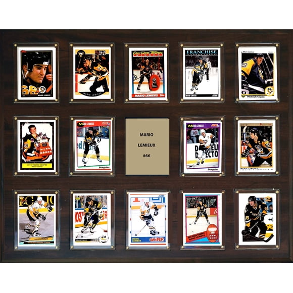Placa C&I Collectables NHL Pittsburgh Penguins 16x20 color café