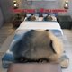 thumbnail image 1 of 3pcs Antarctic Gray Penguin Cute Theme Print Three Piece Bedding Set Soft Quilt Cover And Two Pillowcases, 1 of 5