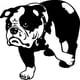 thumbnail image 1 of Decomural English Bulldog Dog Pets Animals WS-32622, 1 of 2