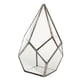 thumbnail image 1 of plantador de aire suculento diamante vidrio geométrico terrario 12x12x17cm cobre, 1 of 5