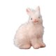 thumbnail image 2 of Figuras De Conejo, Juguetes, Figuras De Animales, Juguetes Para Regalos De Fiesta, Juguetes Cognitivos Para Ni?os Peque?os, 2 of 5