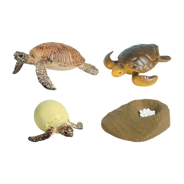 Juguete de Tortuga de Ciclo de Vida, Modelo de Biología Educativa para Niños de 3 a 6 años, Accesorios de Enseñanza Realistas, Figuras de Animales, Ki tortuga marina