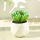 thumbnail image 4 of Planta de simulación de interior Planta de simulación de interior Planta de escritorio de oficina en casa Decoración, 4 of 5
