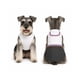 thumbnail image 1 of Traje de Huaso Chileno para Perro Talla M, 1 of 10