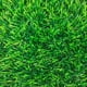 thumbnail image 1 of Pasto Sintético Elite Turf 30 mm 2x5 Metros, 1 of 6