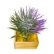 thumbnail image 5 of Casa De Muñecas Flores En Maceta Plantas Modelo De Paisaje Estático Para Accesorios Decoración Planta, 5 of 5