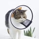 thumbnail image 1 of COLLAR ISABELINO VELCRO XS 14-17 CM, 1 of 3