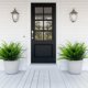 thumbnail image 5 of Plantas artificiales TURNMEON Boston Fern, 20 paquetes, para exteriores, 5 of 8