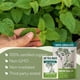 thumbnail image 2 of Té de Toronjil Zhivana Organics 40 Bolsitas Orgánicas, 2 of 8