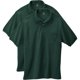 thumbnail image 1 of Camisa Polo Hanes 3XL Bosque Oscuro Pack de 2, 1 of 7