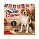 thumbnail image 2 of Traje De Huaso Chileno Para Perro Talla L, 2 of 10