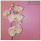 thumbnail image 1 of Mecano - Donde Esta El Pais De Las Hadas | Vinilo, 1 of 3
