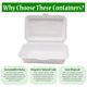 thumbnail image 5 of Recipientes para comida para llevar Perfectware 9 x 6, 100% compostables, 5 of 7