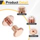 thumbnail image 4 of Uxcell 50set Tornillo Chicago M5 x 6mm 8mm Longitud Metal Phillips Clavo Remache Estudio Tornillo Pernos Remaches Poste de Unión Tornillo para Manualidades de Cuero, Oro Rosa, 4 of 7