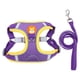 thumbnail image 1 of Arneses De Perro LEASHS SET SOFT PLEADED AJUSTABLE PARA POR POR PUPPY REFLECTURAL PURPLE XL, 1 of 5