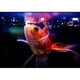 thumbnail image 2 of Dymax goldfish excel flakes 50g hojuelas para peces de agua fria, 2 of 2
