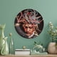 thumbnail image 5 of Lil Pump Plato decorativo de porcelana fina (bone china), plato decorativo de cerámica para hogar, oficina, soporte de pared, platos decorativos para dormitorio - 6 pulgadas (15 cm), 5 of 6