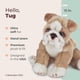 thumbnail image 2 of Juguete de peluche de la colección Bearington Tug The English Bulldog, 2 of 6