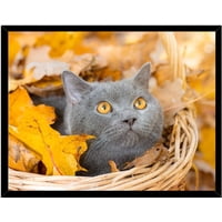 Genérico - Cuadro Decorativo Gato Gris Medidas 30X40 Cm